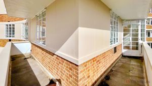 Bacony- click for photo gallery